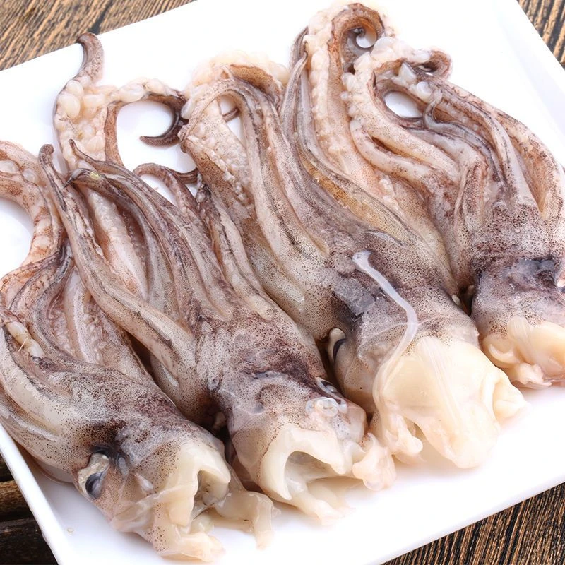 冰鲜鱿鱼头500g