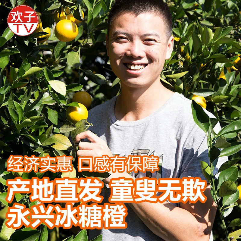 欢子TV专属：正宗永兴冰糖橙超甜皮薄当季水果果园现摘直发
