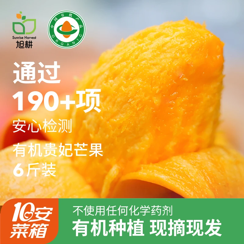 旭耕有机芒果净重6斤红贵妃 云南原产地有机水果 通过214项检测