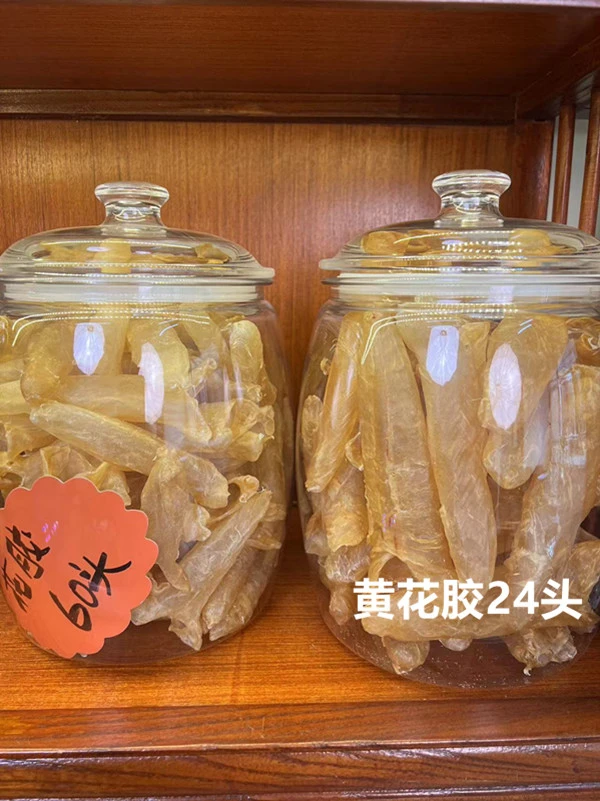 24头黄花胶 炖奶煲汤