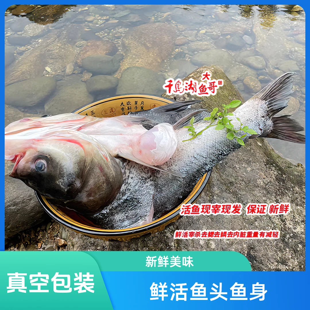 正宗千岛湖包头鱼 鳙鱼鲜活鱼头鱼身现宰现杀真空包装新鲜美味