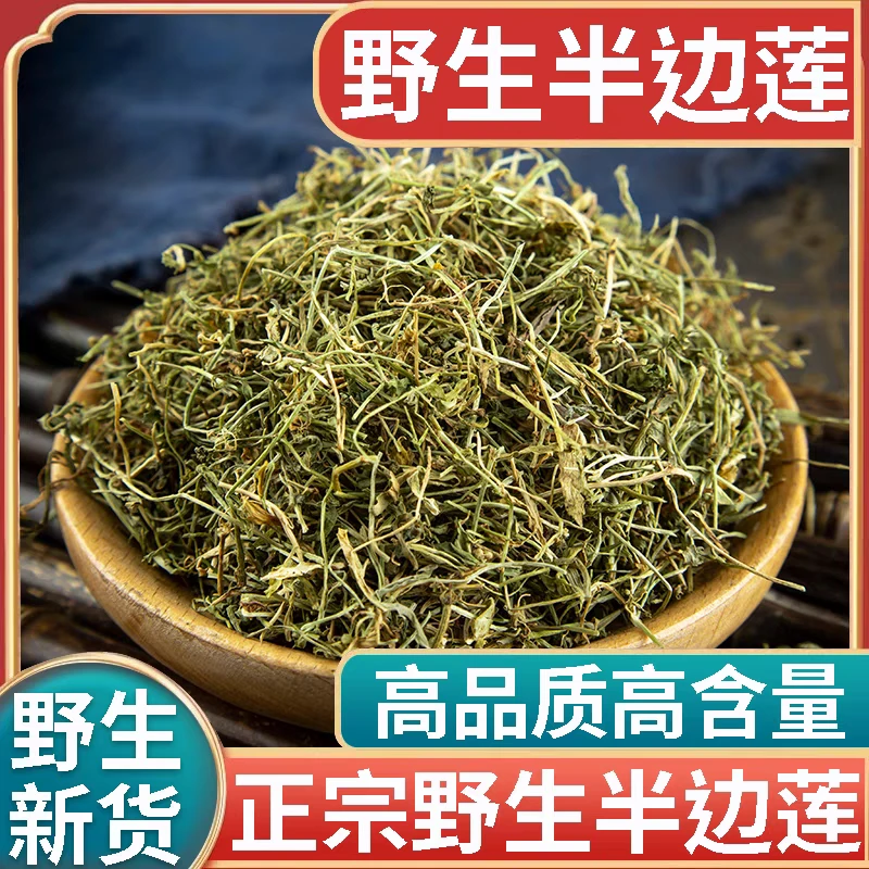半边莲正品道地野生精选无硫半边莲搭配枸杞泡水喝滋补养生