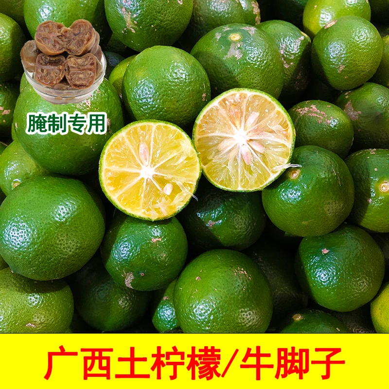 广西土柠檬新鲜牛脚子青柠檬腌制咸柠专用本地现摘3/5/9斤