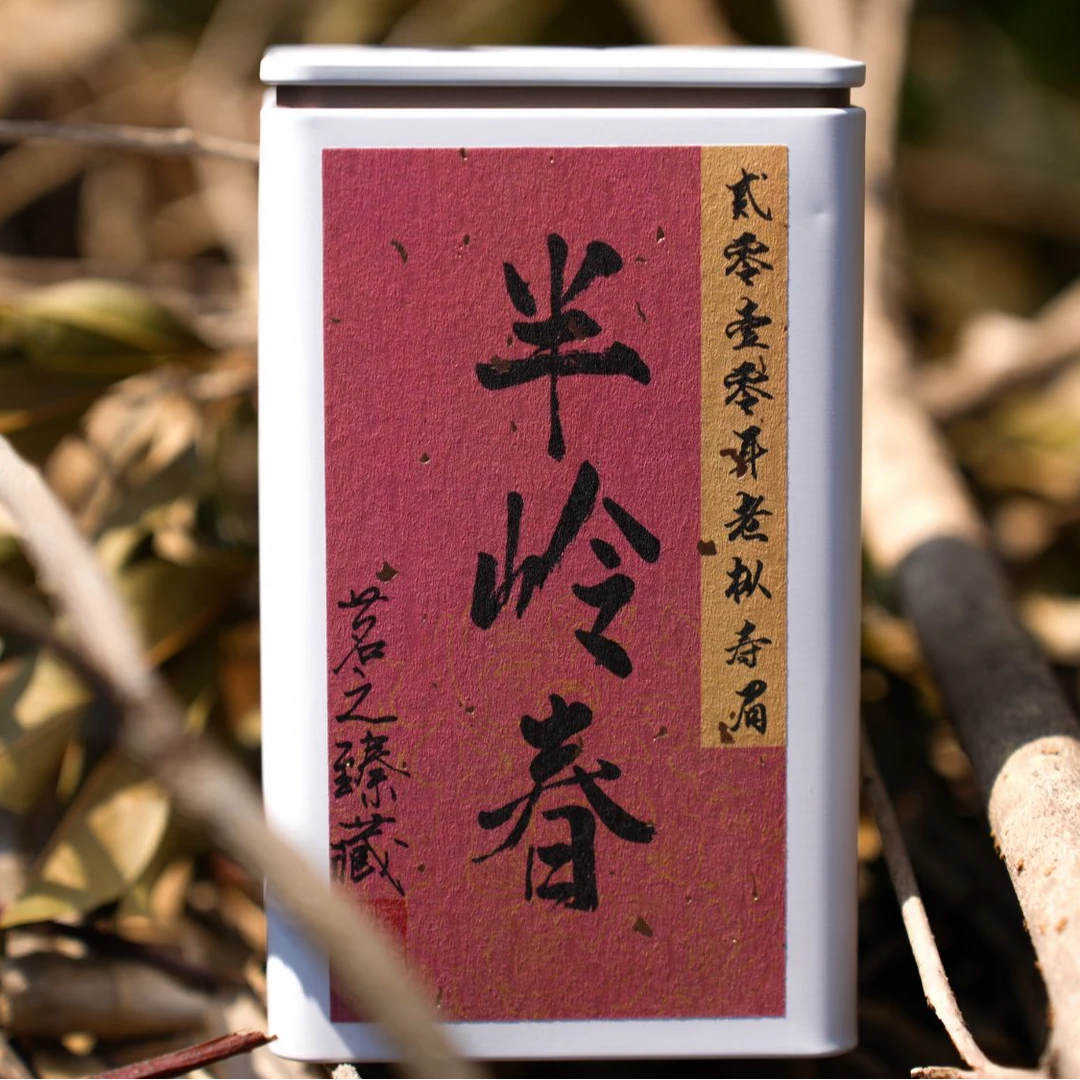 知鼎記【半岭春】2010年老枞寿眉 醇厚香甜 陈香蜜韵 磻溪白茶匠心