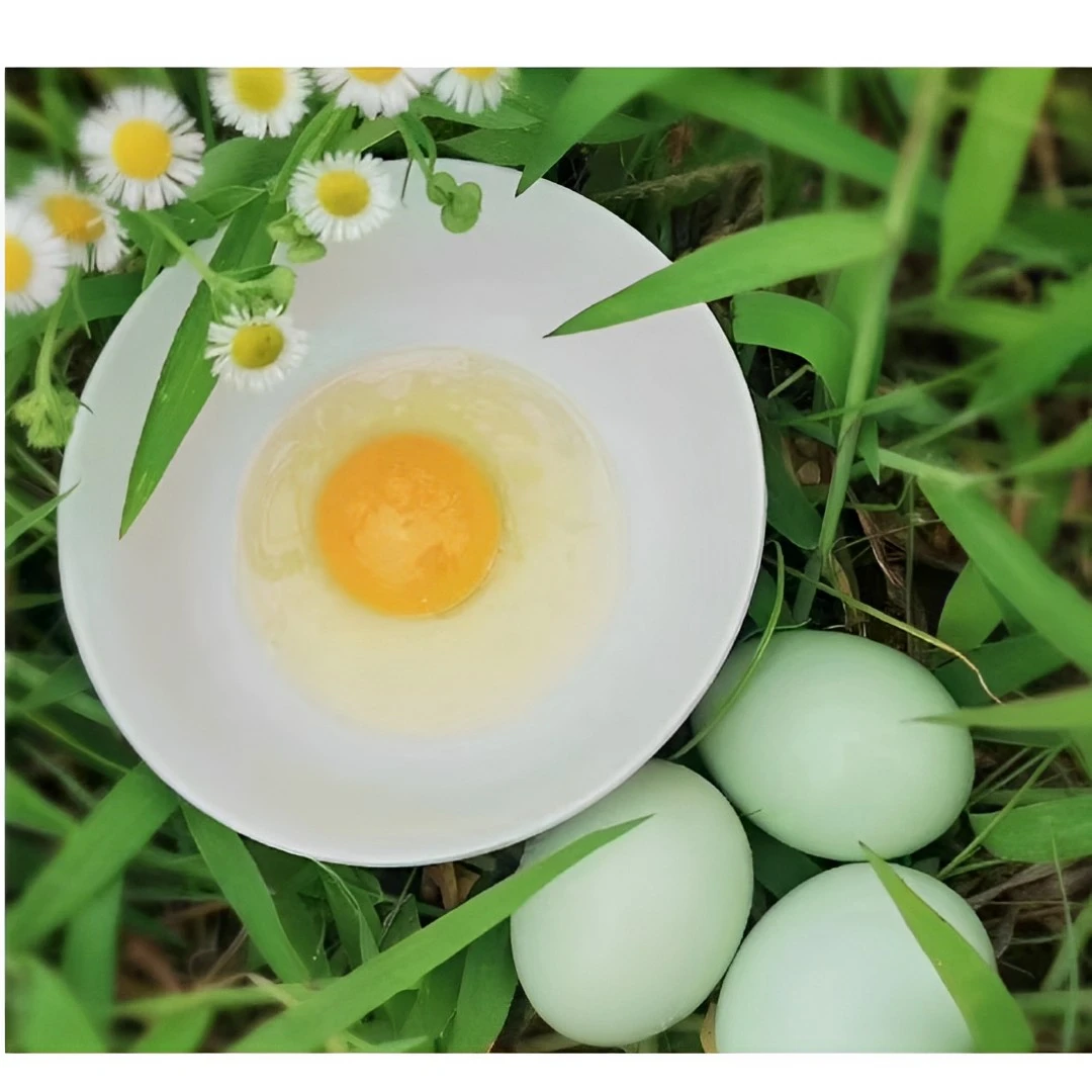 土鸡蛋 、土鸭蛋、土鹅蛋 44g以下