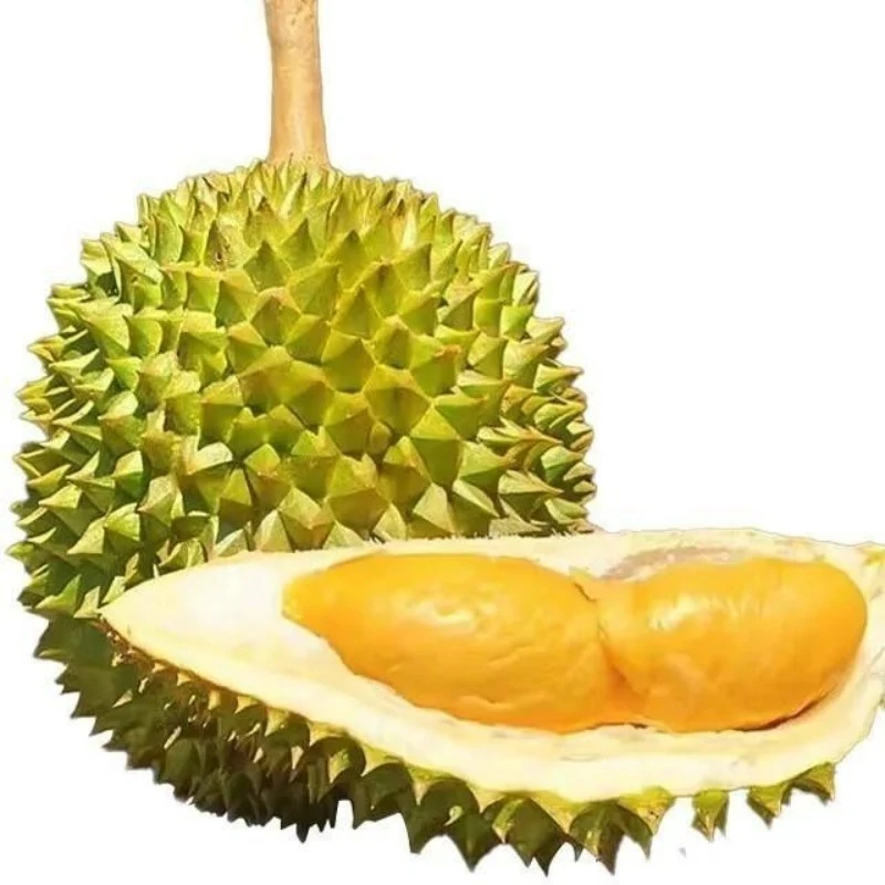 干尧榴莲 【约2.5kg/个】