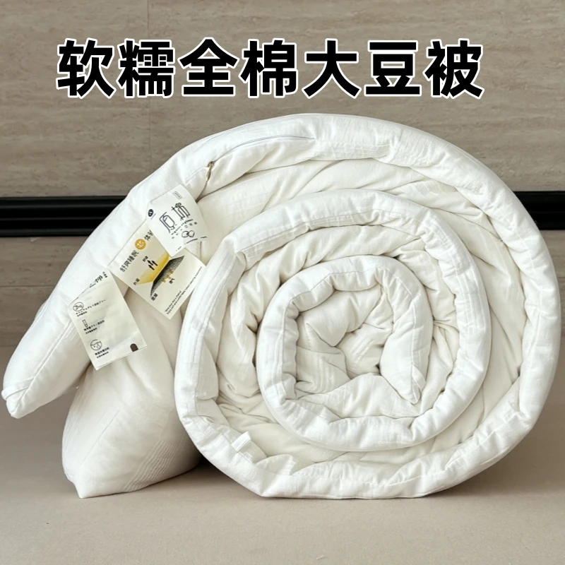 五星级酒店全棉大豆被家用夏凉被子被芯春秋被单人学生宿舍冬被