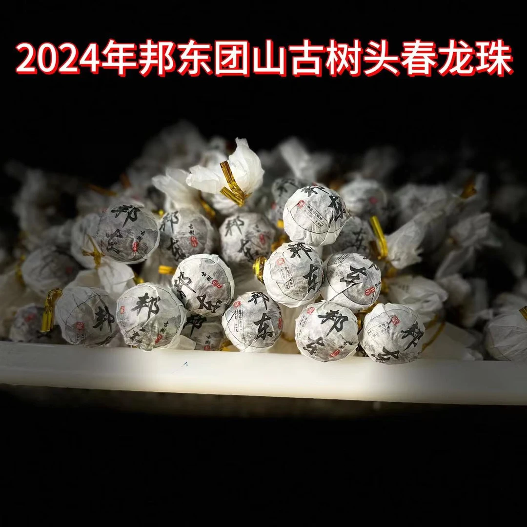 【6】【支书分享】2024年【邦东团山龙珠】古树头春普洱生茶龙珠【100颗】
