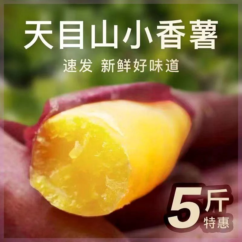 【牧阳】临安天目山小香薯金手指小红薯新鲜现挖地瓜山芋板栗蜜薯红