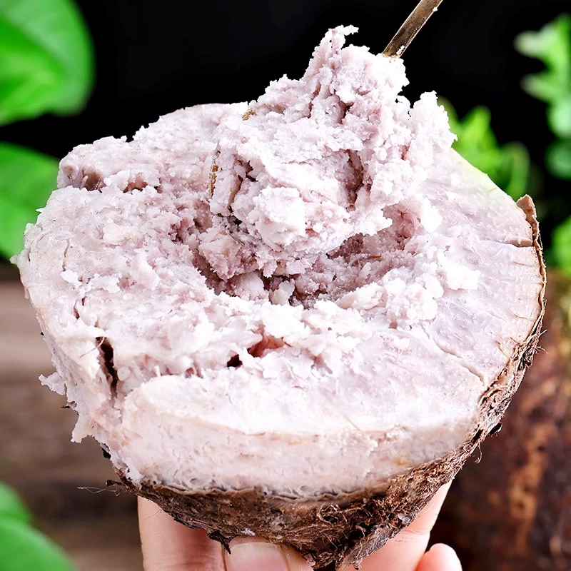 广西荔浦芋头现挖3/5/9斤新鲜粉香芋槟榔芋软糯毛芋农家