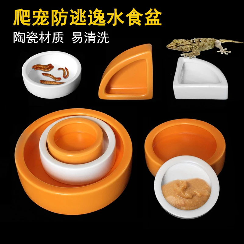 爬虫防逃逸食盆防逃脱守宫鬃狮面包虫大麦虫陶瓷厂家爬宠水盆