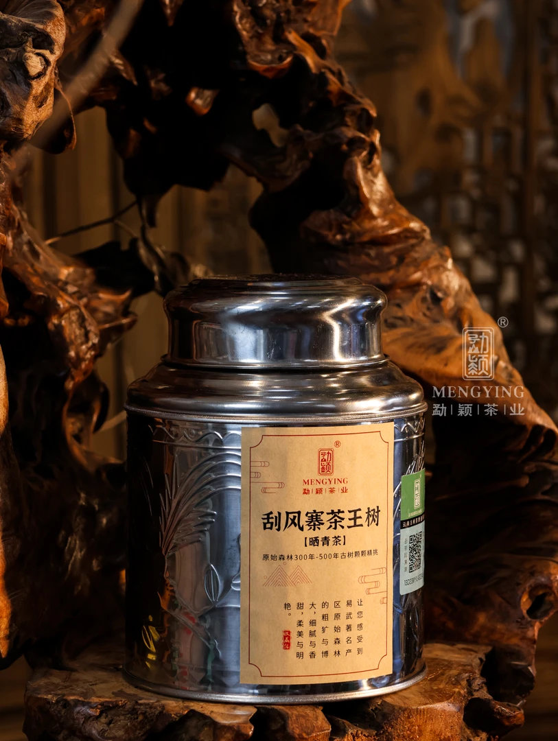 勐颖2024刮风寨茶王树头春普洱生茶300-500年古树保真
