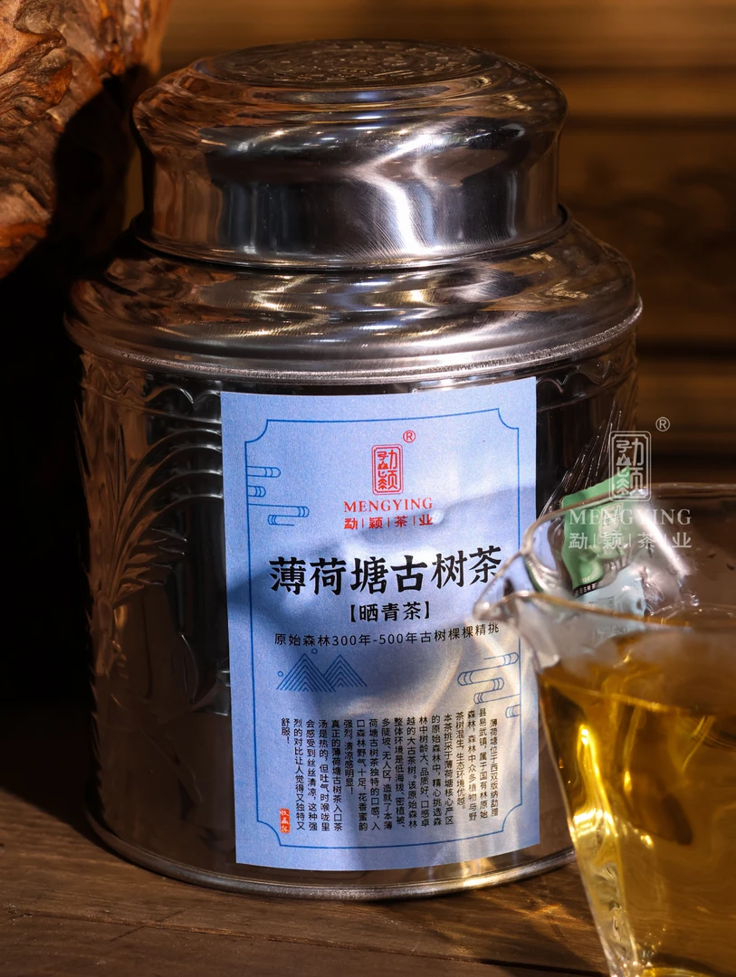 勐颖2024薄荷塘300年古树生茶云南普洱茶生茶120g罐装