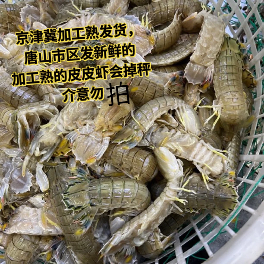 【熟】皮皮虾 3斤 （冷冻保存 介意勿拍