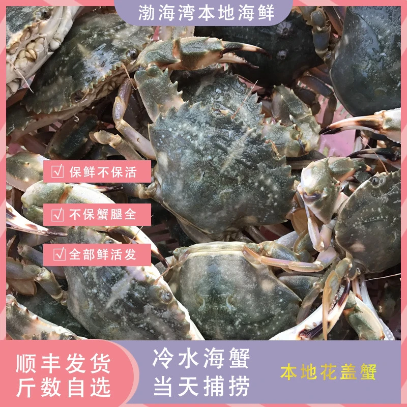 【保鲜不保活】大花盖蟹 3斤—5斤 一斤5-7只