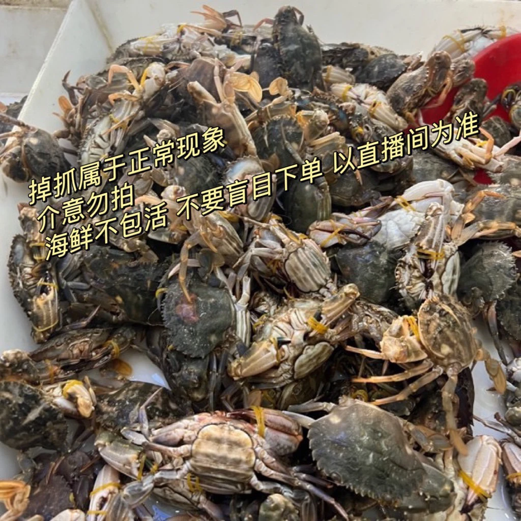 花盖蟹 4斤 不包全肥！生腌辣炒家吃合适！