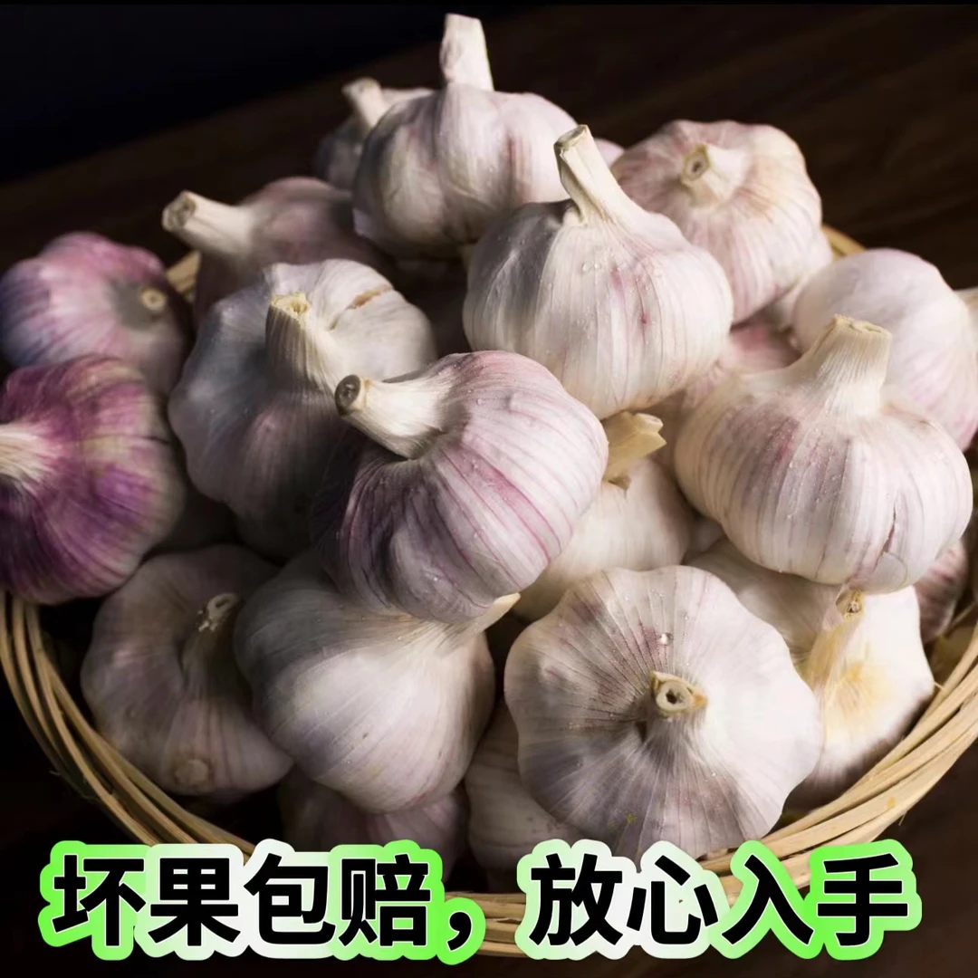 【24年新蒜】河南杞县农家干大蒜5斤新干蒜香味浓郁紫白皮农家自种