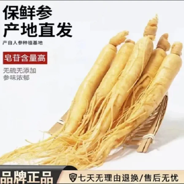 精选人参包装精品【一支】新老包装随机发【净含量5g±】