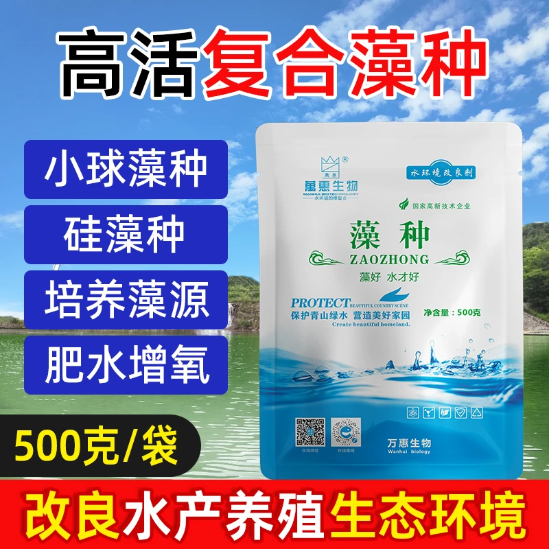 藻种鱼虾蟹塘调节水质调水肥水补充有益小球藻硅藻种适用水产养殖