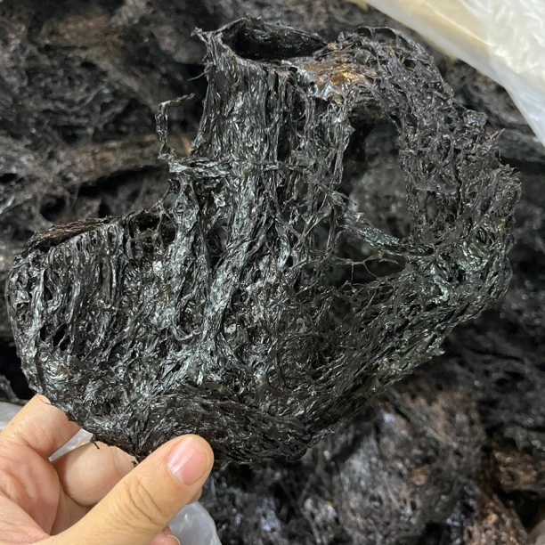 福建特产紫菜无沙干货新货水产干货250g-500g