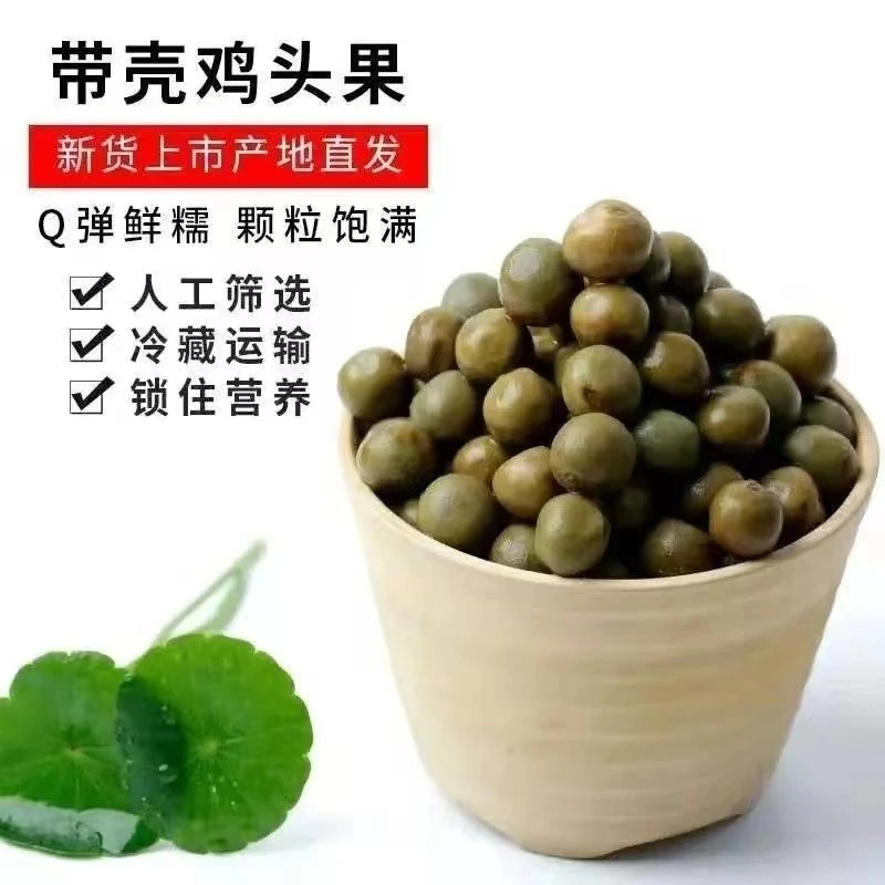 【霍邱鸡头果】打磨特级鸡头果直径11.5mm起