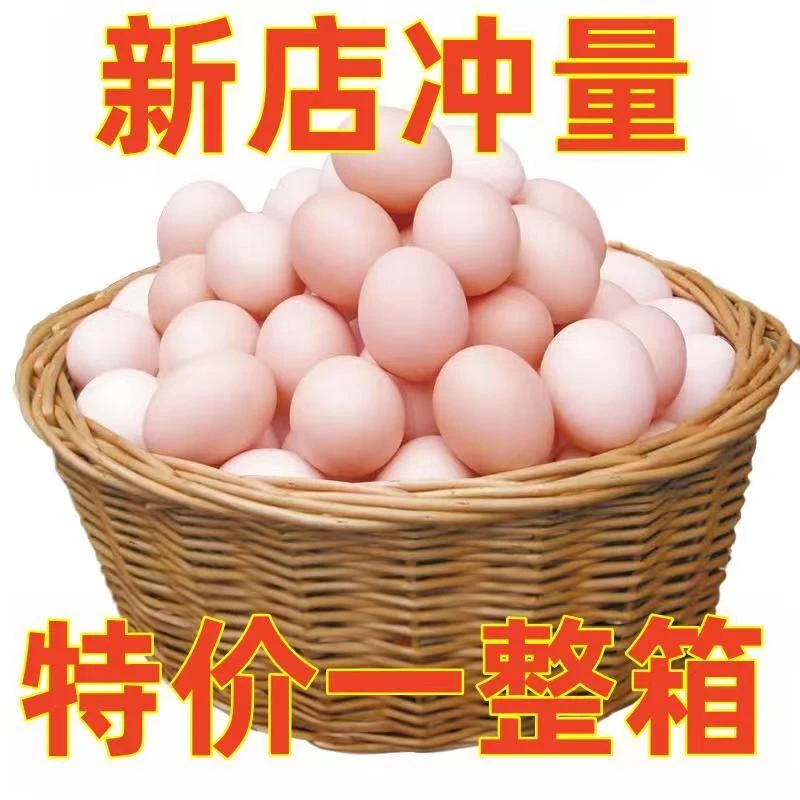 【土鸡蛋20-40枚】农家土鸡蛋柴鸡蛋现捡散养新鲜放养土鸡蛋营养20