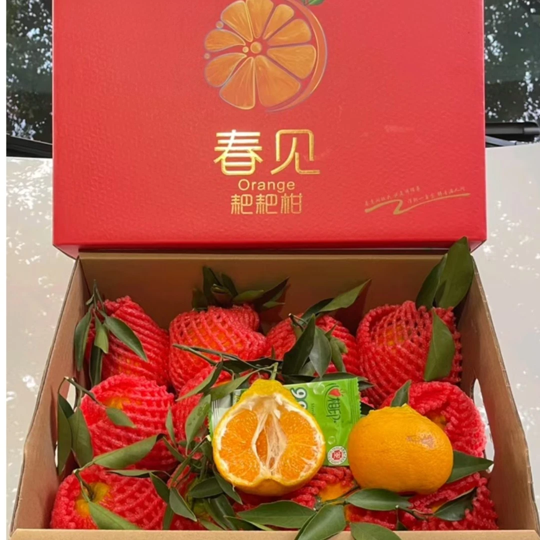 【年货礼盒】四川春见耙耙柑橘子应季新鲜水果精美礼盒装