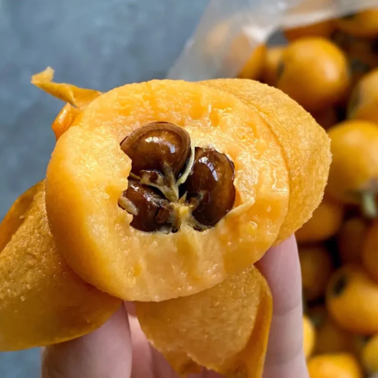 镇雄枇杷镇雄特产本地枇杷中大果30g-80g枇杷现摘现发农家自种