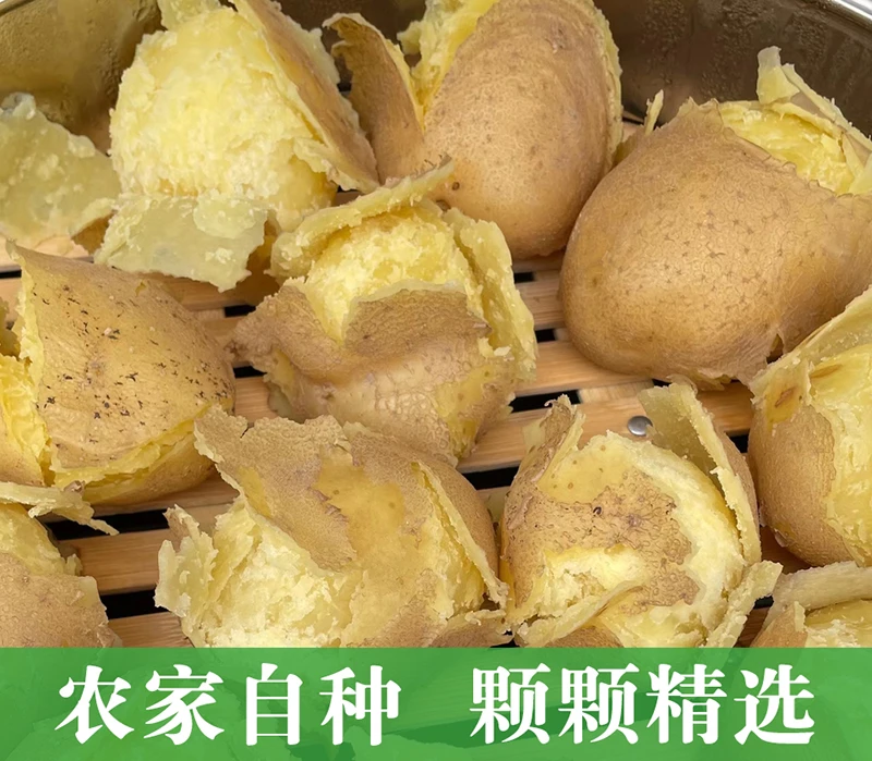 甘肃定西旱地黄皮黄心土豆【小果】乒乓球到鸡蛋大小（代餐推荐）
