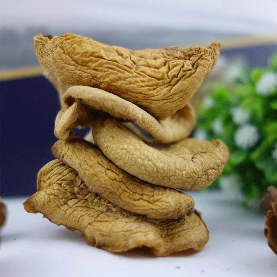 长白山蘑菇 元蘑菇