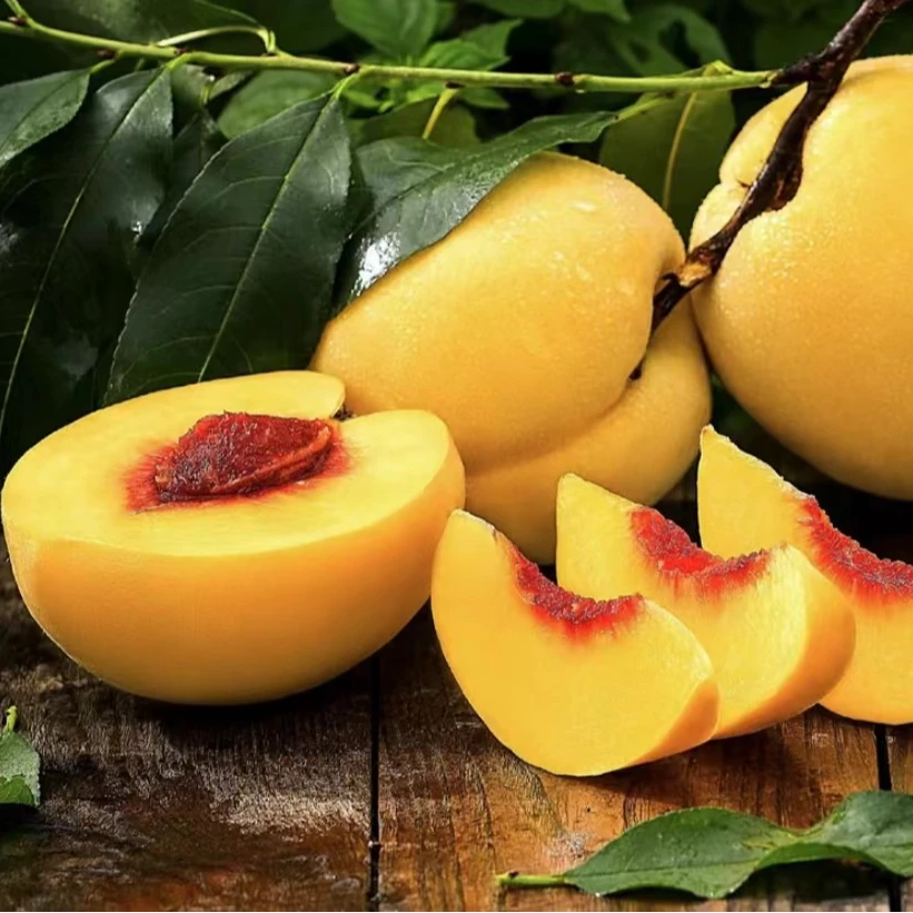 正宗湖北炎陵黄桃脆口现摘现发当季新鲜水果锦绣黄桃蜜桃多汁