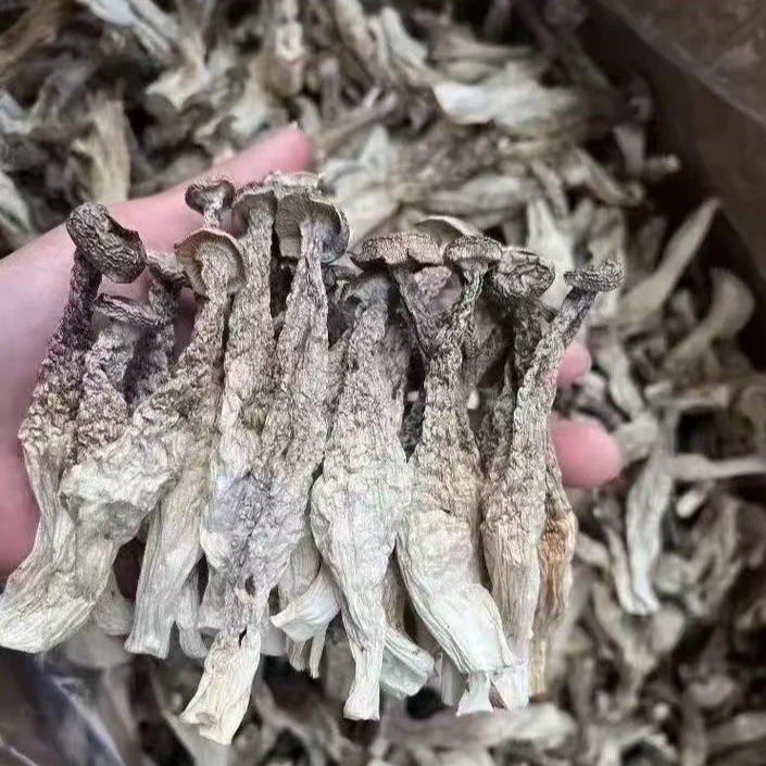 高山鹿茸菇250克