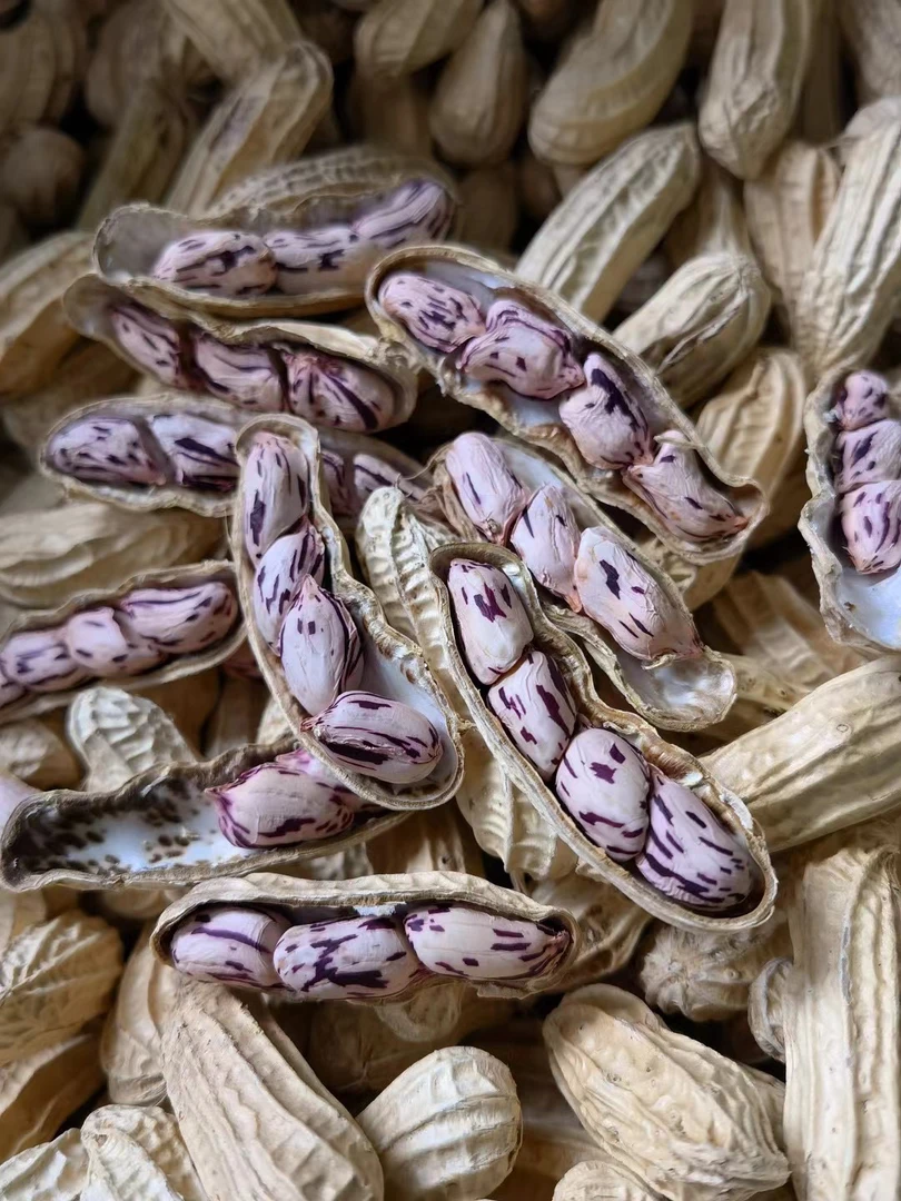 【旺客】云南土特产，七彩花生精品