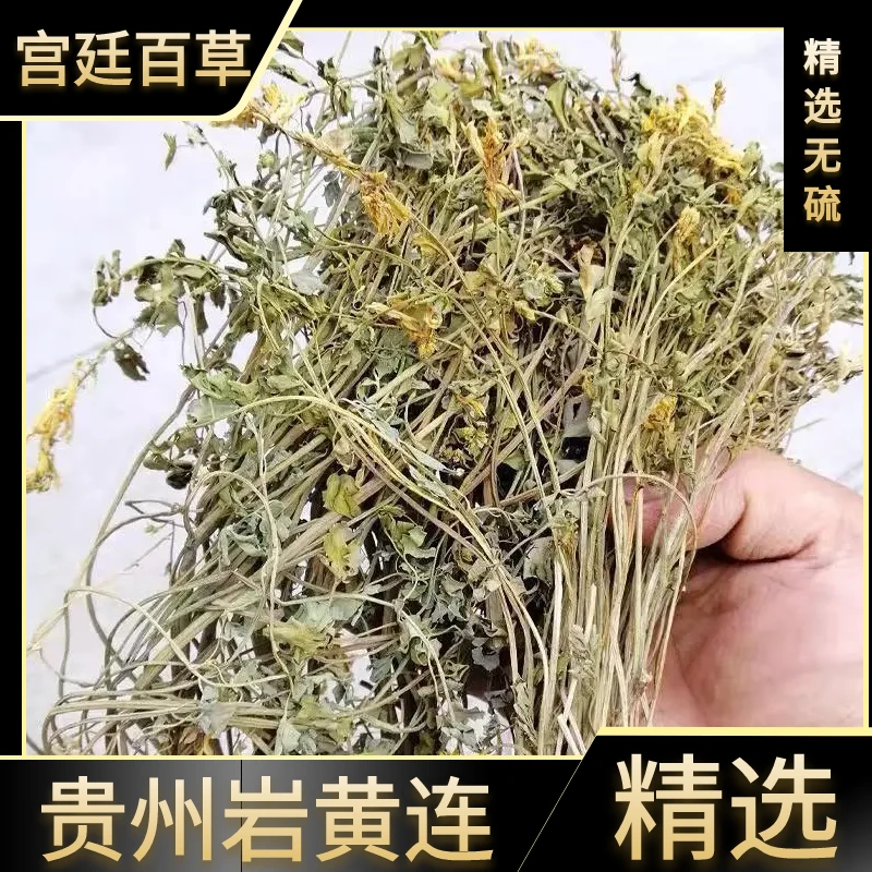 野生岩黄连贵州土黄连岩黄莲正宗崖黄莲叶菜干货100g250g晒干散装