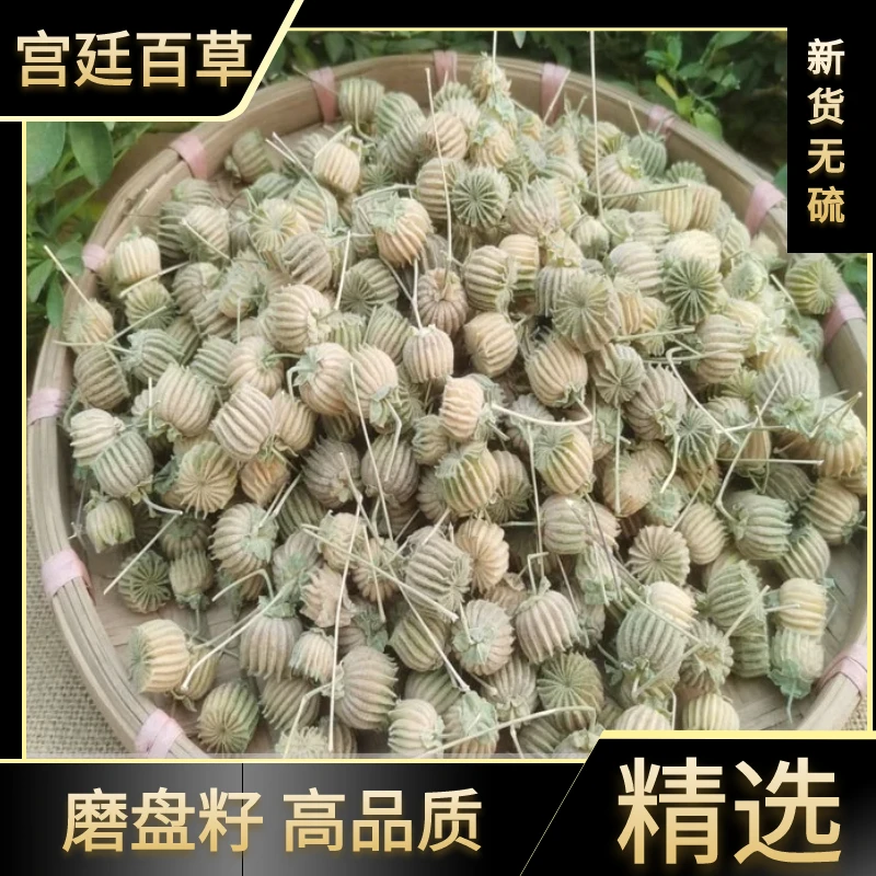 野生磨盘子磨盘籽磨盆子磨盘草子叶菜干货散装100g-500g克精选