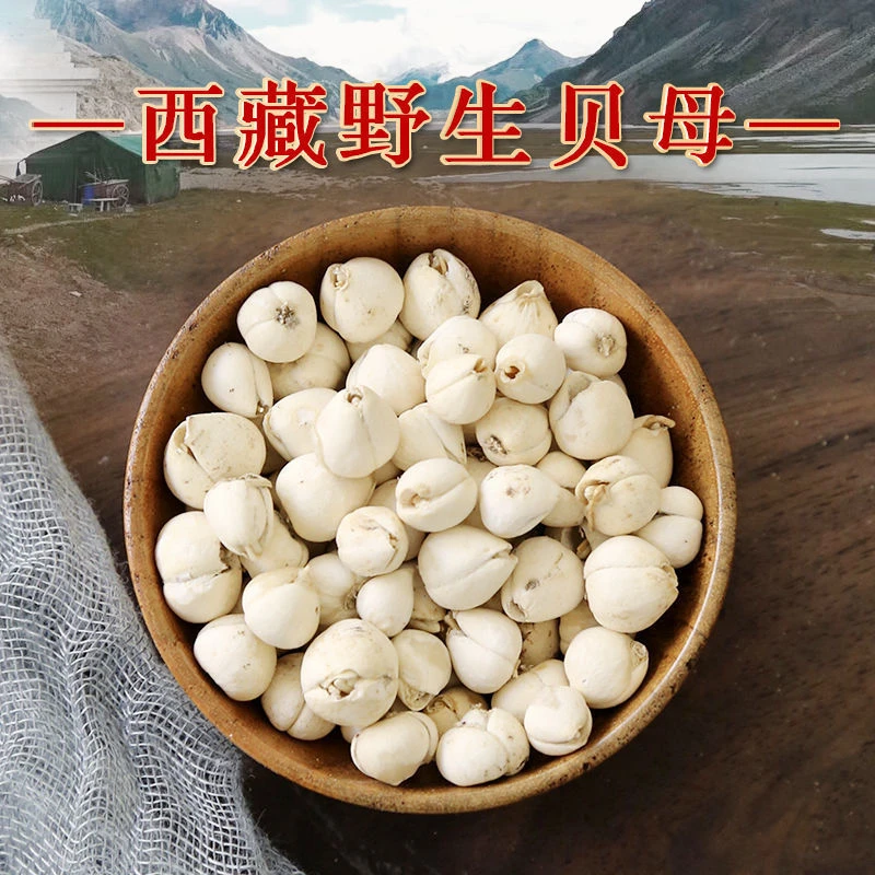 西藏野生藏贝母正宗藏贝母叶菜藏贝母100g克/罐包邮干货精选泡水