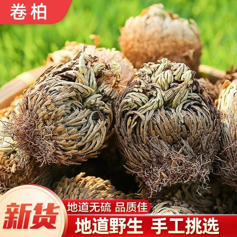 九死还魂草卷柏野生干货叶菜卷柏无硫卷柏500克-1000克优质包邮