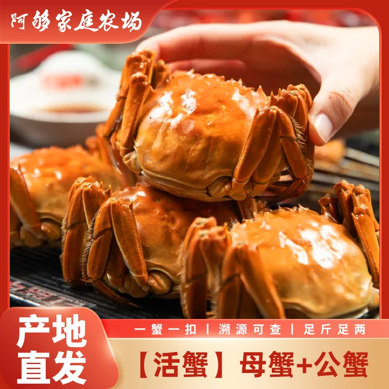 {阿够活蟹}精品公蟹3两5只+母蟹2.3两5只/10只 顺丰