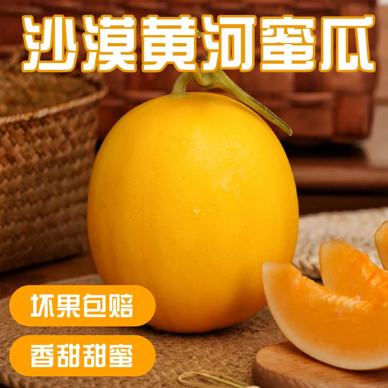 【顺丰包邮】新鲜红金宝沙漠黄河蜜瓜，坏果包赔香甜甜蜜
