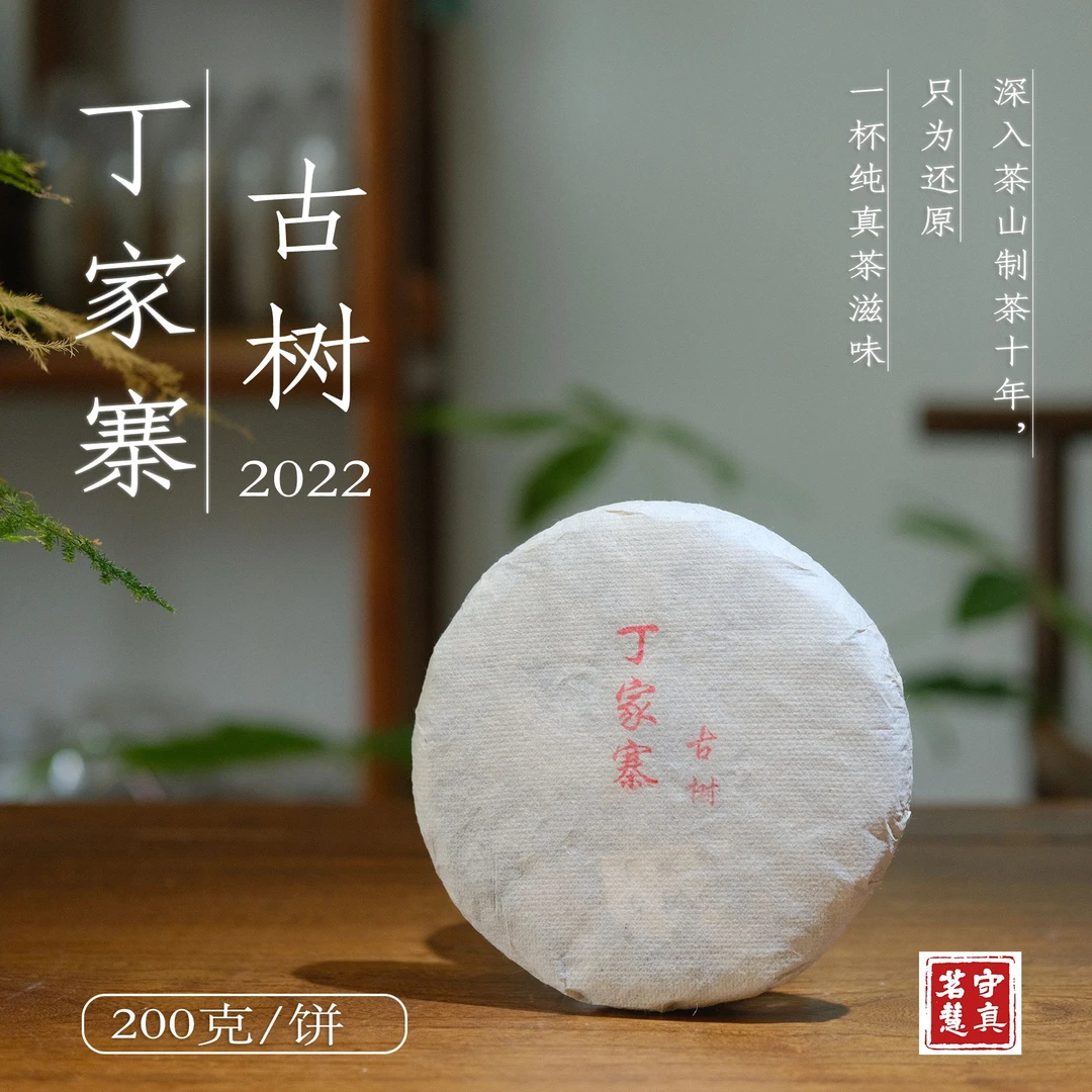 守真茗慧2022年【丁家寨】头春 纯料古树 手工制茶 普洱生茶