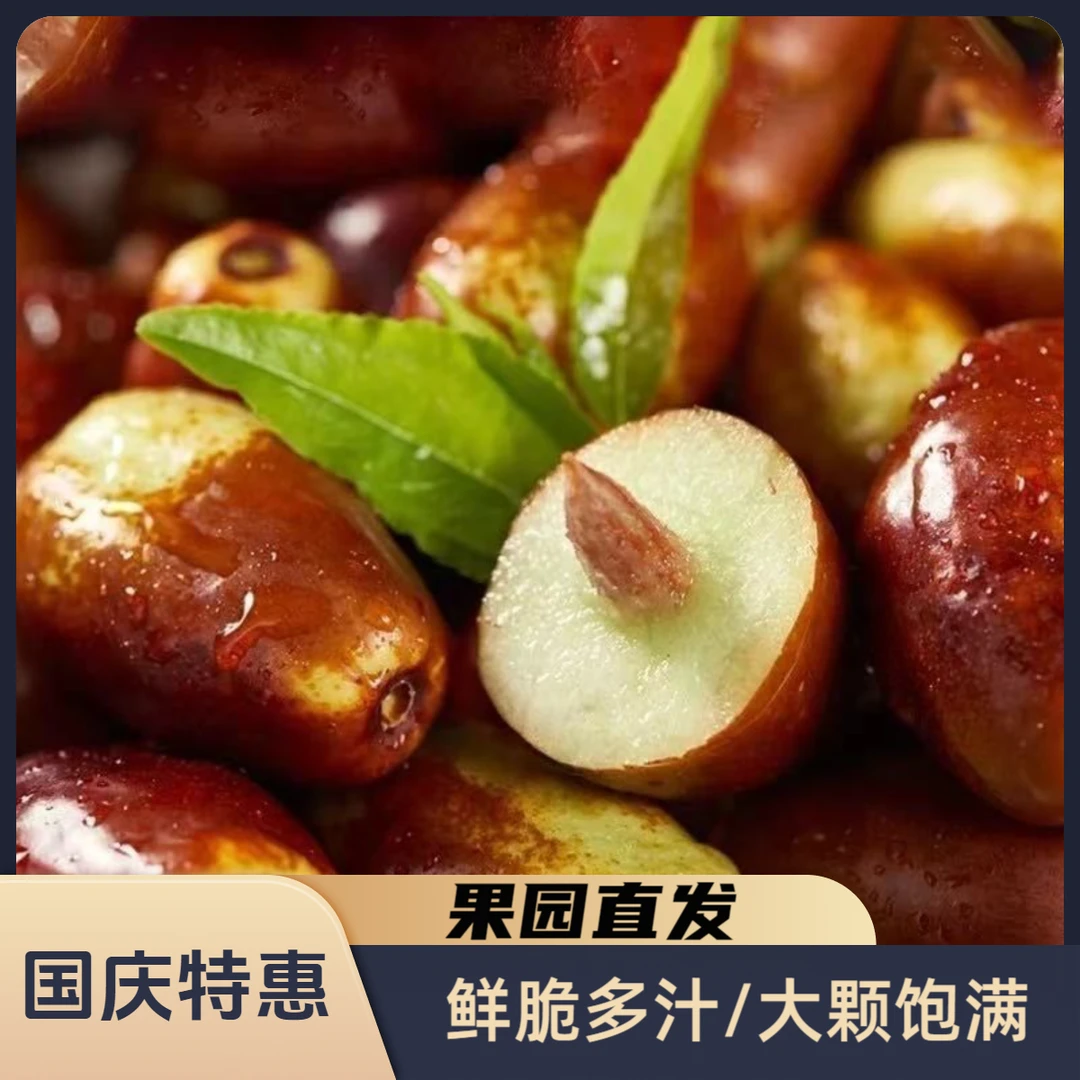 正宗灵武长红枣筛选大颗果实个大饱满新鲜采摘爽口多汁
