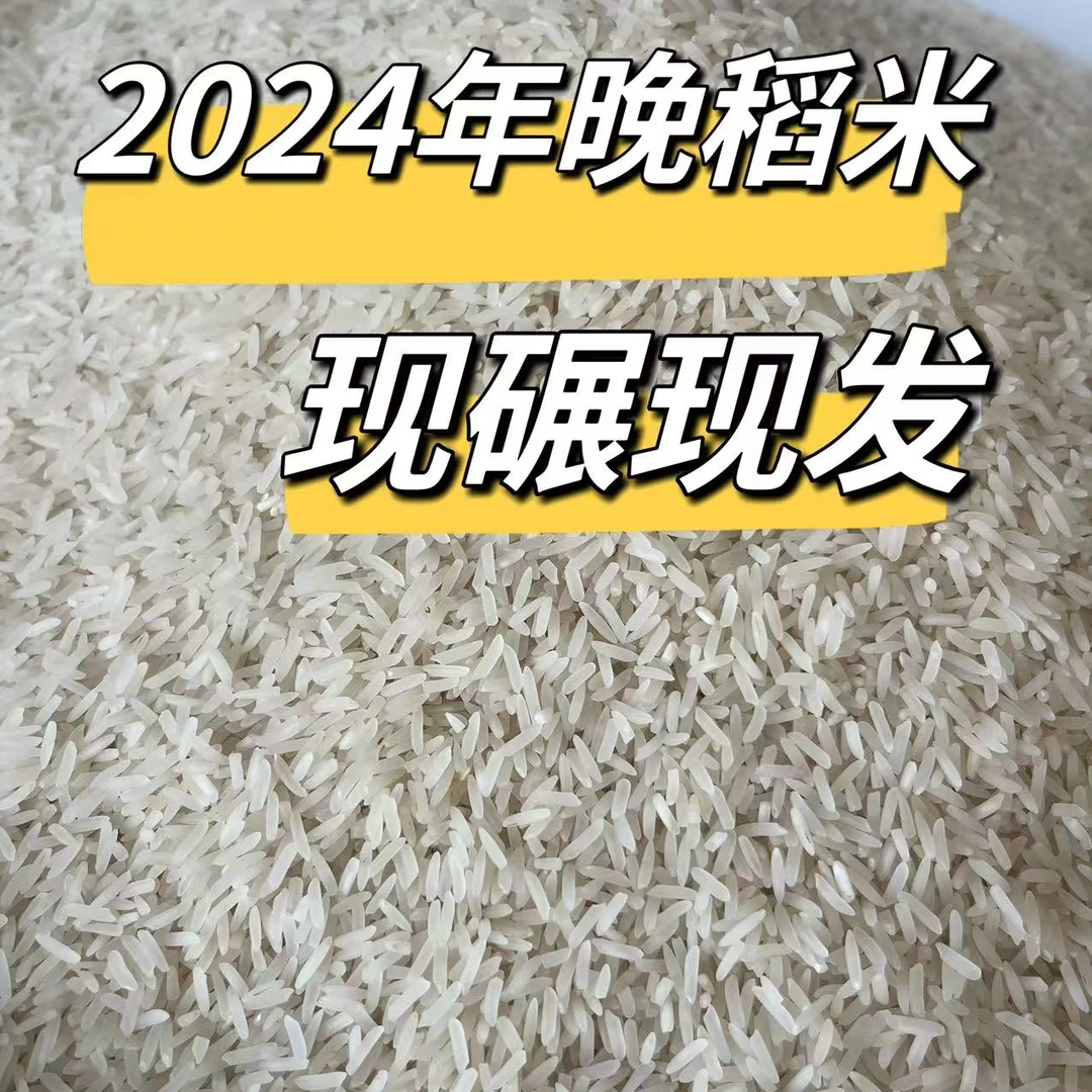 2025晚稻新米从化本地农家米不抛光打蜡新鲜正宗农家竹粘米乡下米