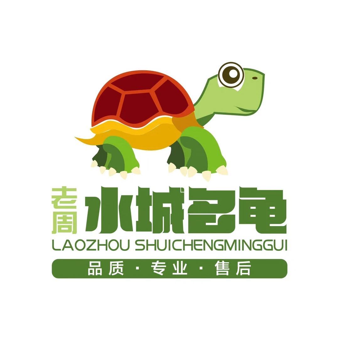 【水城名龟】顺丰补邮，默认中通快递 ，需发顺丰快递请拍下此链接。