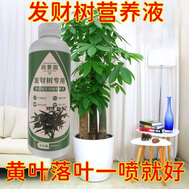 发财树肥料专用肥防黄叶落叶烂根通用型生长微量元素园艺营养液
