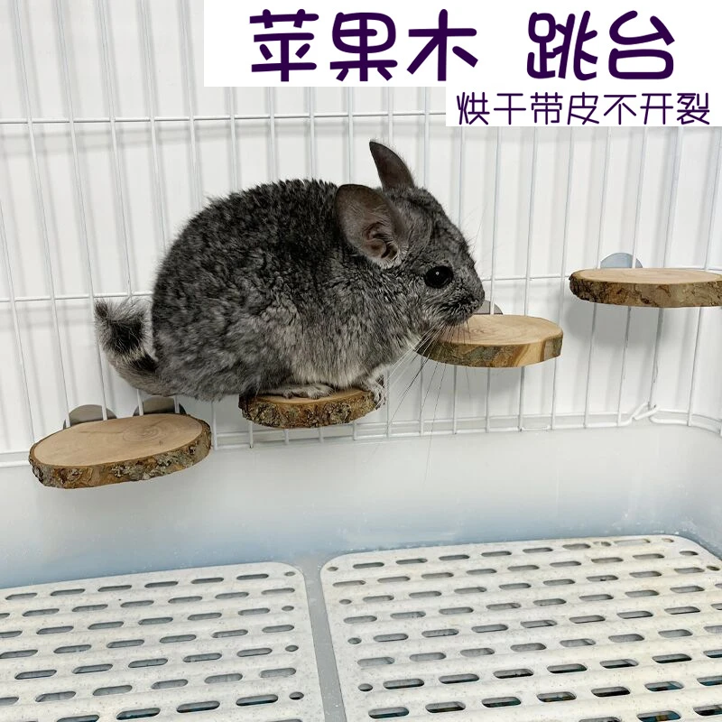 松鼠跳板踏板跳台站台原木木墩仓鼠鹦鹉站台板跳苹果枝玩具用品