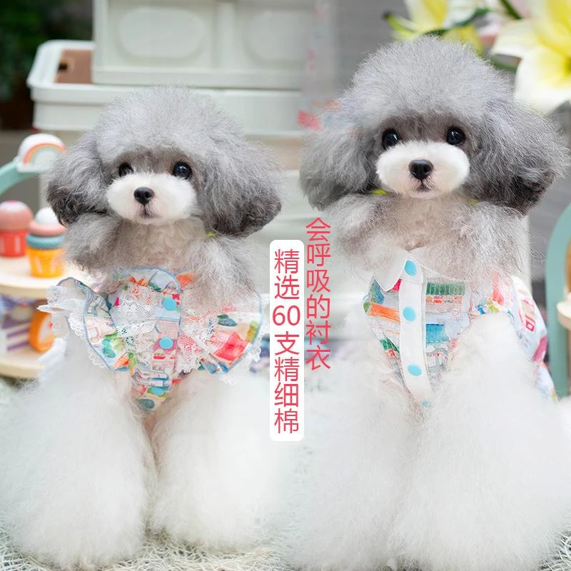 淘淘花瓣新品宠物服装狗狗衬衣复古小清新可爱泰迪比熊衣服批发