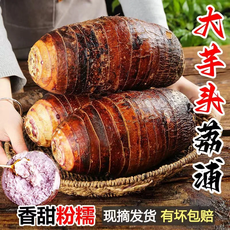 正宗粉嫩荔浦芋头现挖现发香芋槟榔芋香粉粉糯皮地直发大果芋头