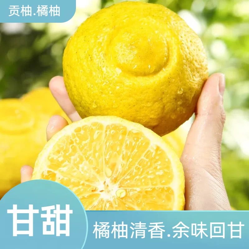 【纯甜】春香橘柚黄金贡柚象山青香甜皮薄肉质多汁饱满香味浓郁
