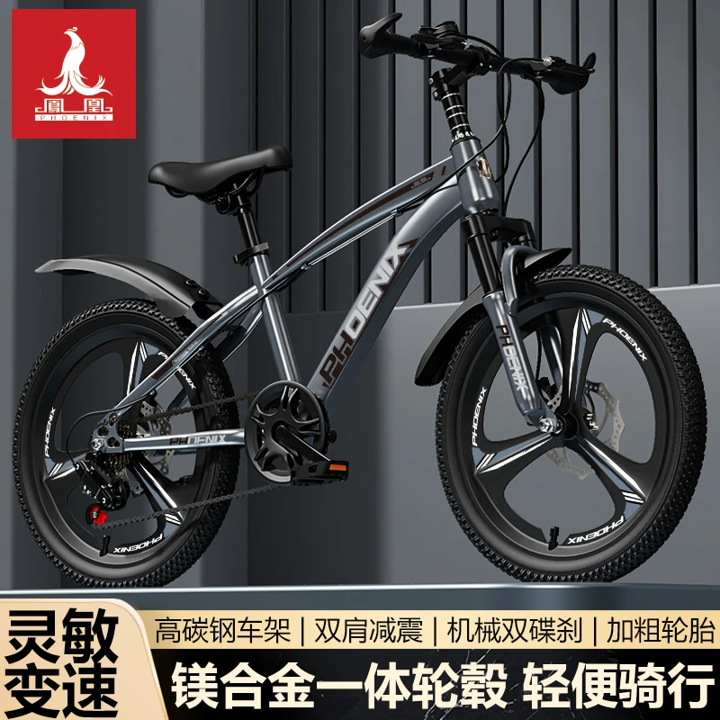 凤凰儿童自行车6-14岁女男孩脚踏山地碟刹变速小学生20寸骑行单车