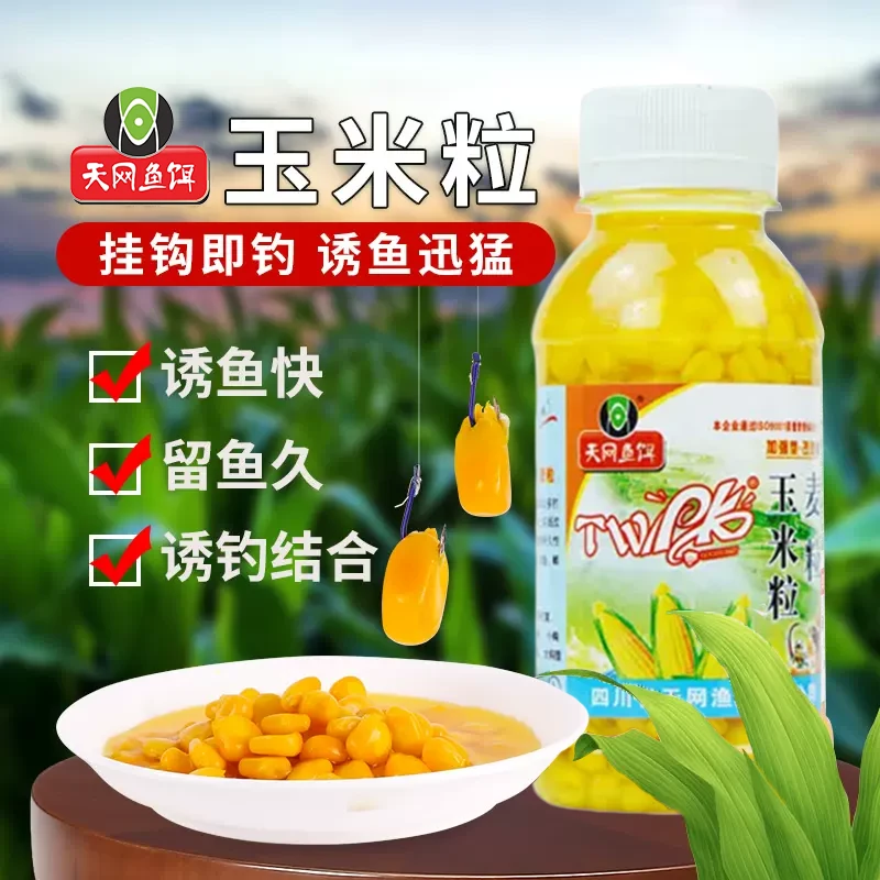 天网鱼饵新鲜玉米粒挂钩鱼饵打窝鲤草青鱼翘嘴颗粒串钩钓饵饵料